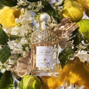 ادکلن زنانه گرلن مدل Berga Calabria – Eau de Toilette